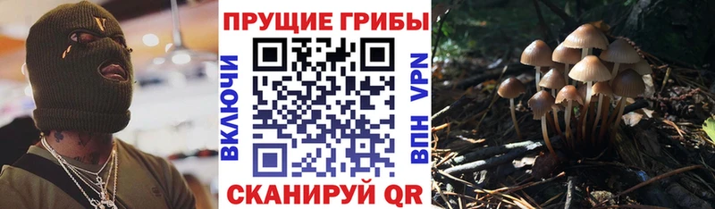 Псилоцибиновые грибы Magic Shrooms цена наркотик Кирс